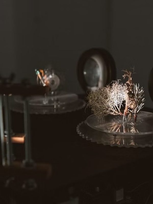 imgi_140_8c6427_a3842a6219d64e78bde413a6c818d59f~mv2