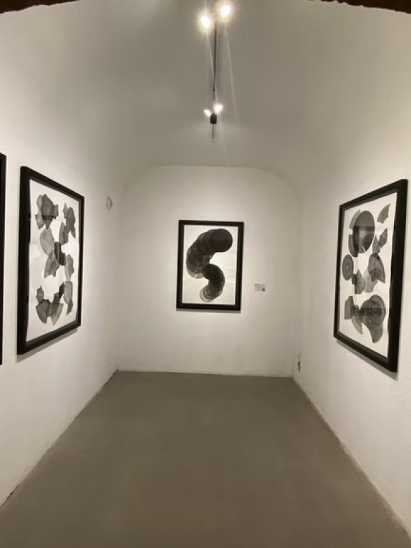 imgi_144_8c6427_c99bab5a1fb3456a9f25415794248de2~mv2