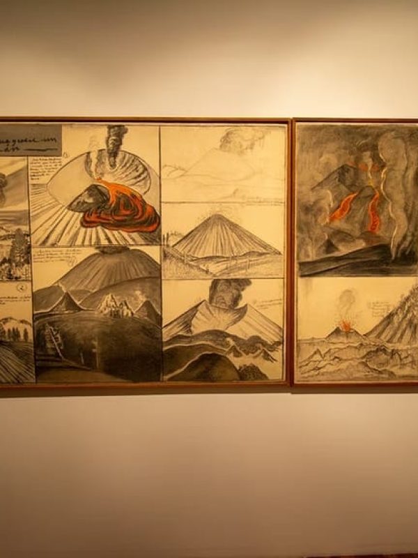 imgi_146_8c6427_2d3f8c6c86e34d6c835404a7aad8476b~mv2