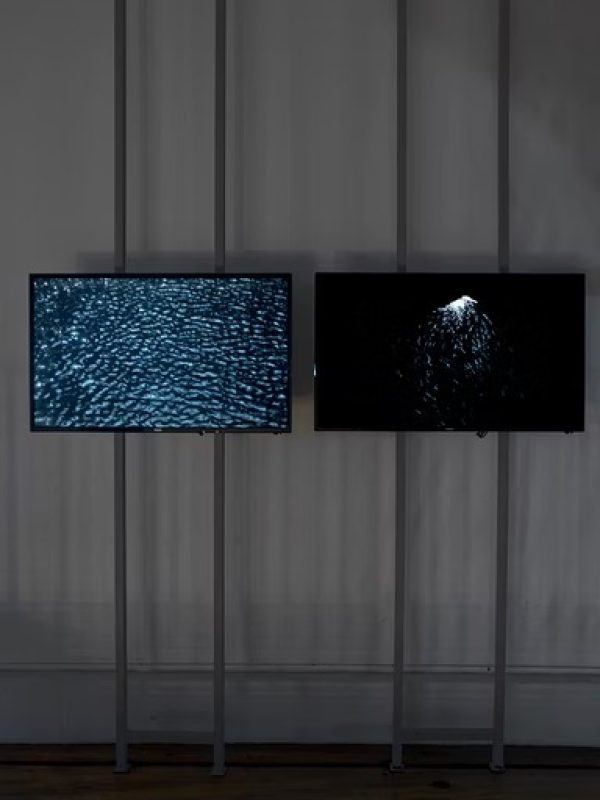 imgi_149_8c6427_8be6e66d37ff49b68be52f737fbabccb~mv2